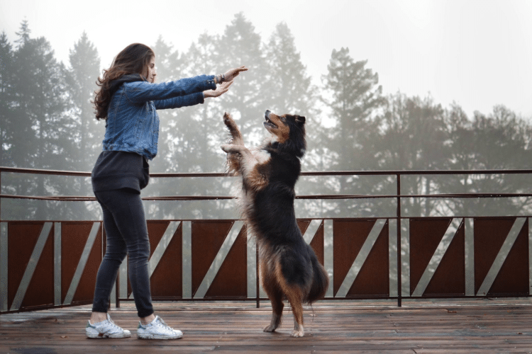 Une jeune fille fait danser son chien