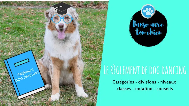 photo d'un chien avec des lunettes et un livre