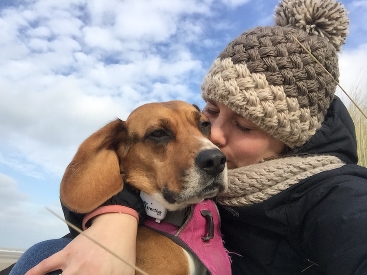 un beagle et sa maitresse