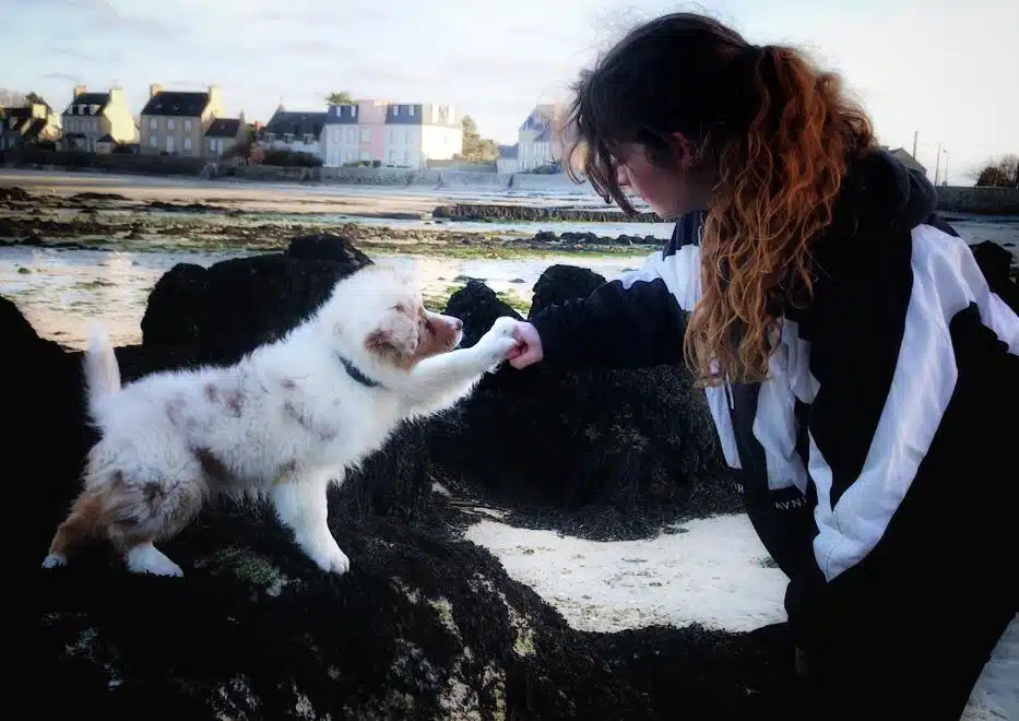 maitre avec son chien sur une plage