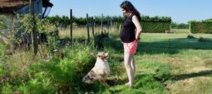 la révélation de ma grossesse, dog dancing, 2ème trimestre