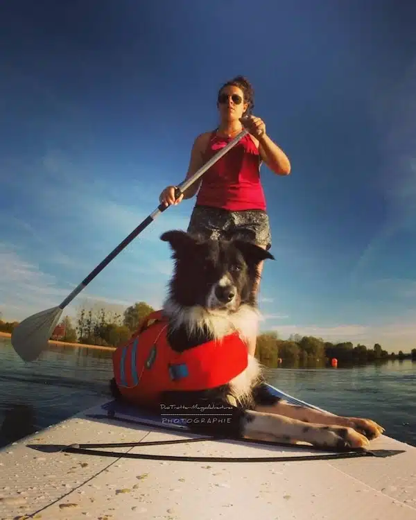 canipaddle, dog dancing, border collie