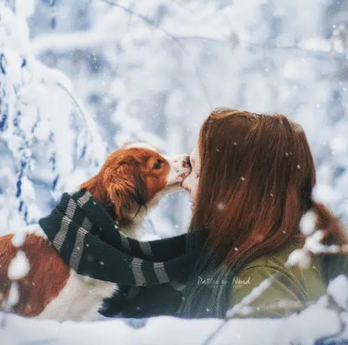 Ness et son chien, cynotopia, fitness canin, neige