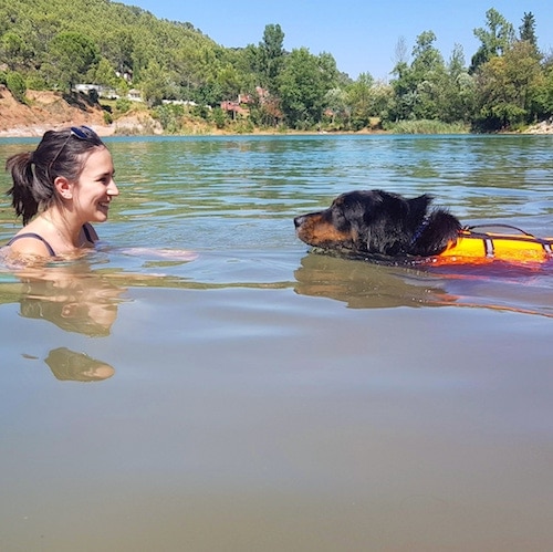 baignade avec son chien de dog dancing