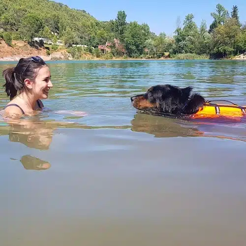 baignade avec son chien de dog dancing