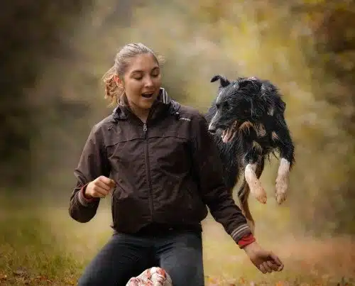 dog dancing avec border collie