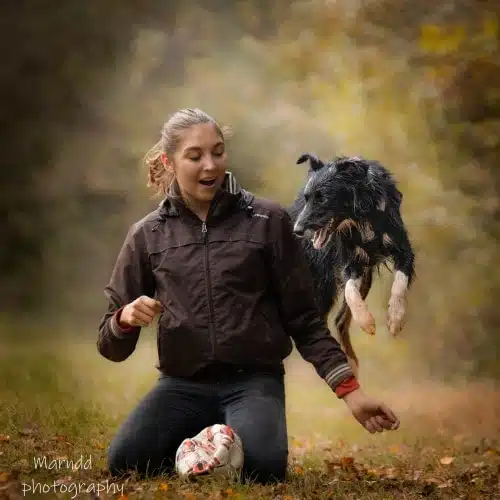 dog dancing avec border collie