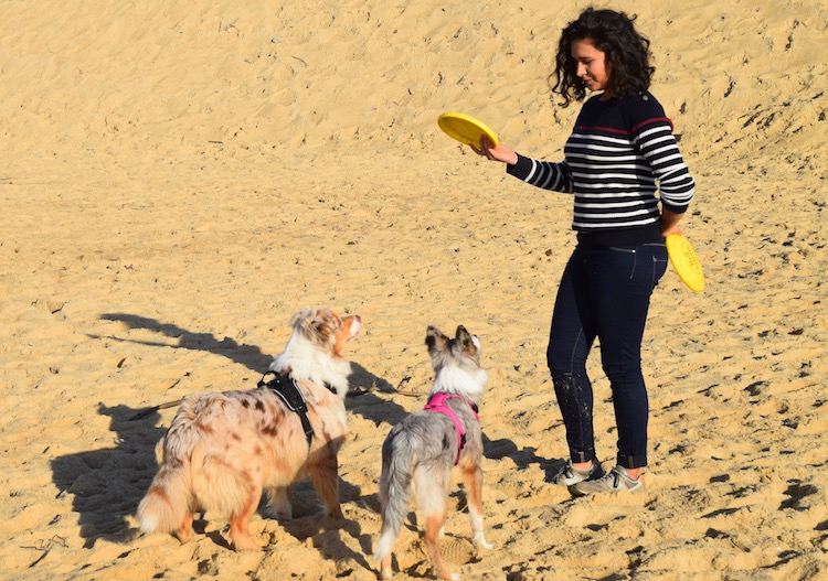 Juliette Boidin joue au frisbee avec 2 chiens