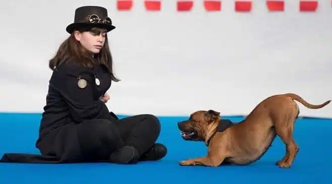 alizée et luna au GPF