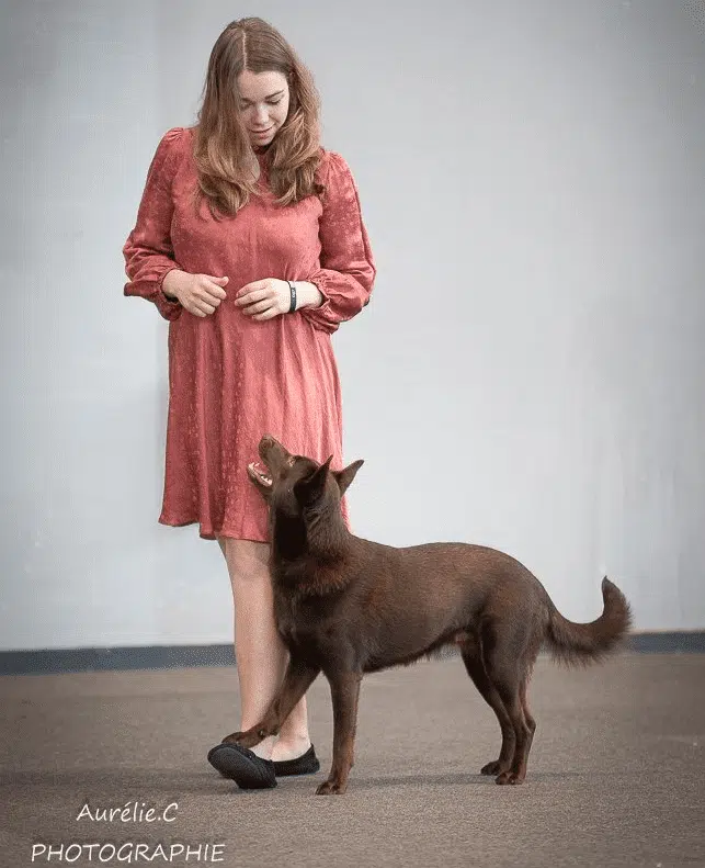 Aurélie et Jenna la kelpie durant une competition d'obérythmée