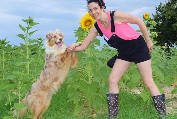 bien utiliser le clcker dans l'éducation positive du chien