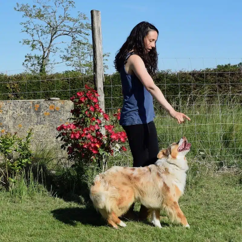 chien qui tourne à l'envers