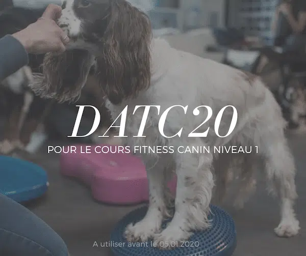 CODE PROMO COURS EN LIGNE FITNESS CANIN NIVEAU 1 CYNOTOPIA