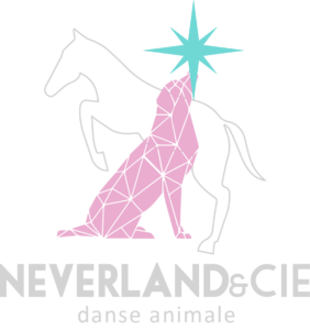 Association Neverland et cie