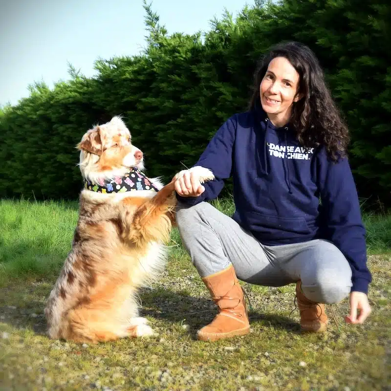 Gipsy en paws up sur mon avant bras