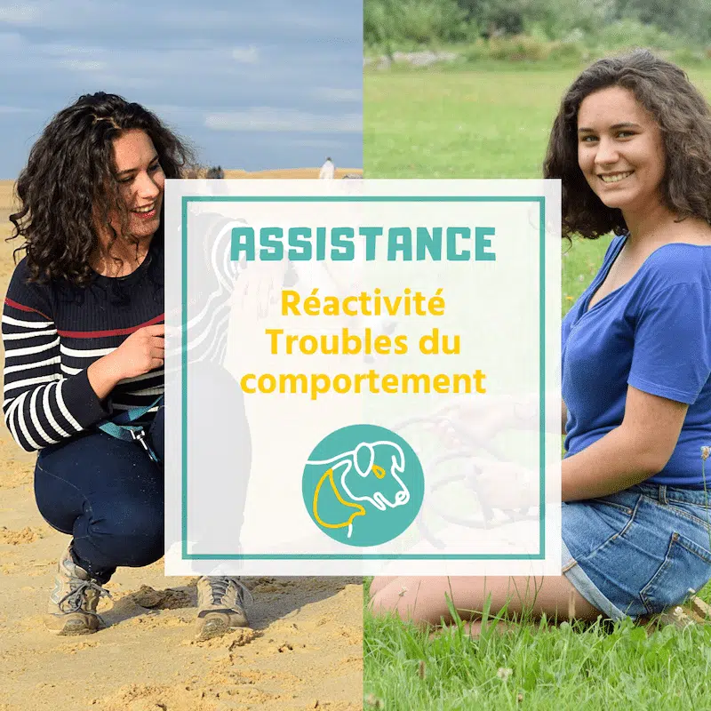 Juliette Boidin comportementaliste