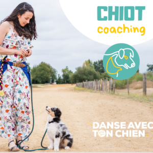 coaching chiot