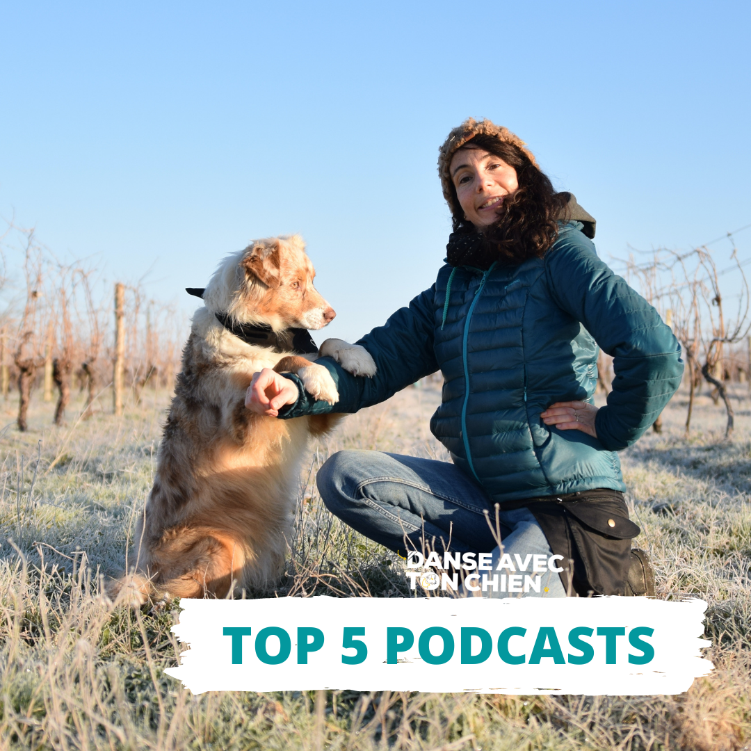 top 5 des Podcasts de Danse avec ton chien