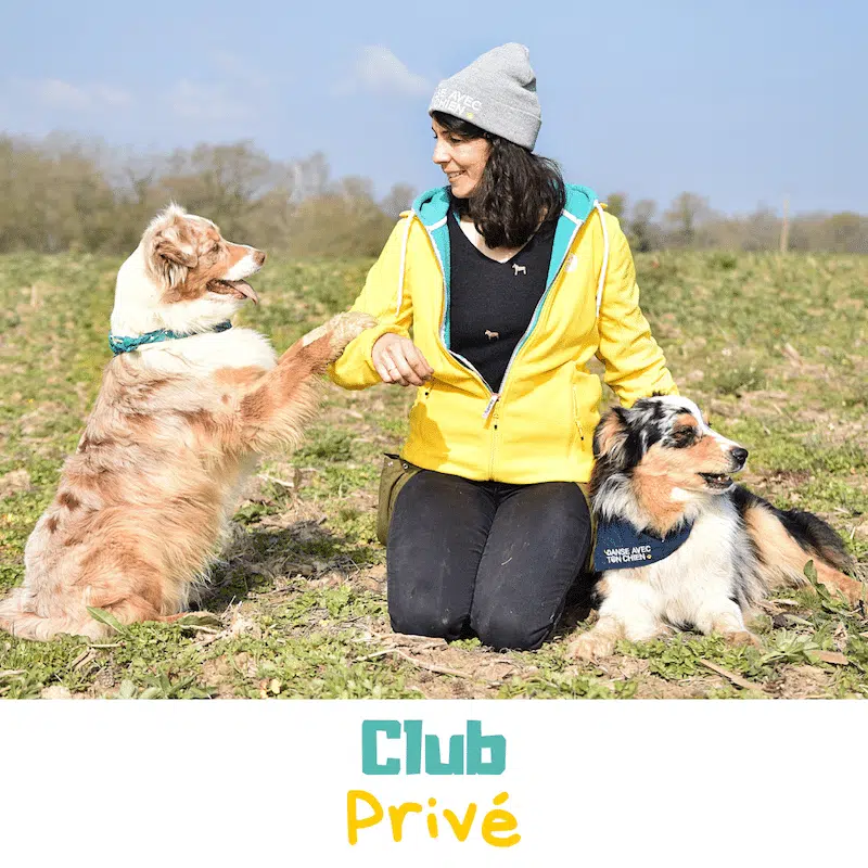 Club privé de dog dancing