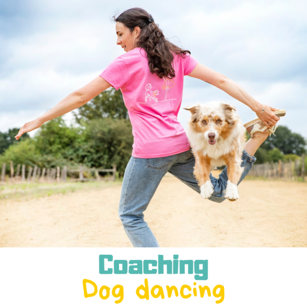 Coaching de dogdancing