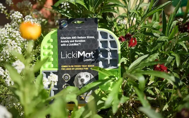 Lickimat - tapis de léchage