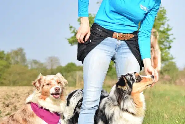 Leurrer son chien