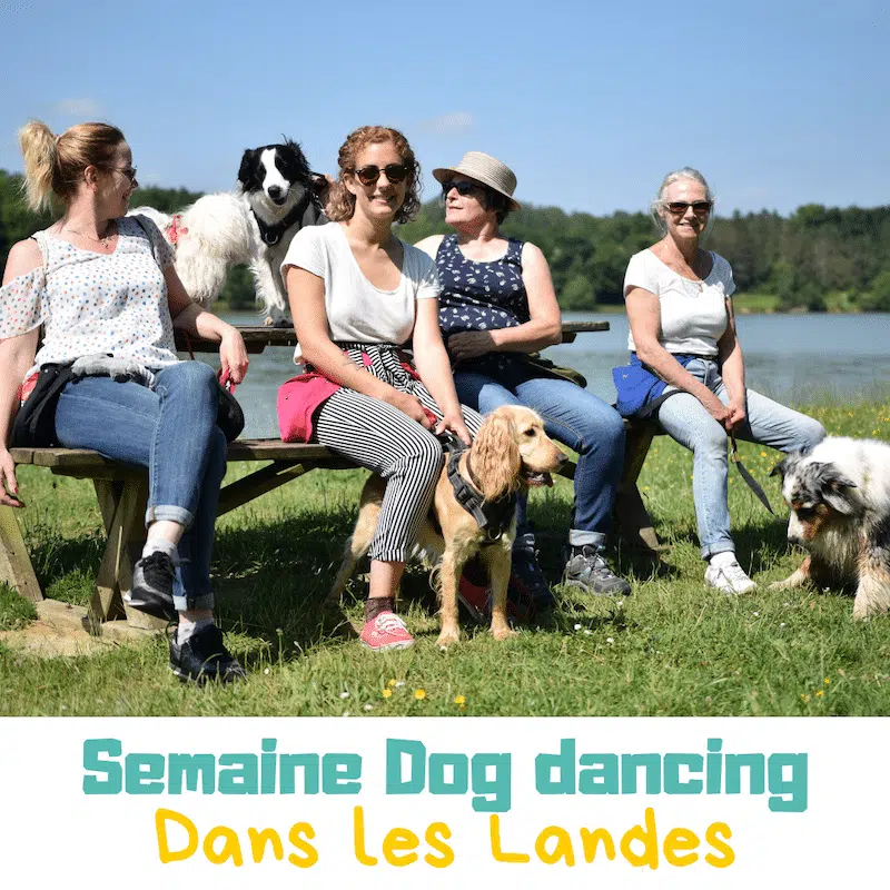 semaine dog dancing dans les Landes