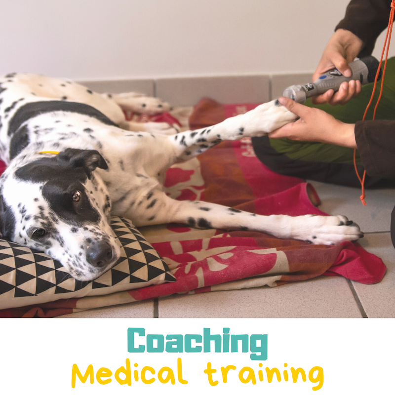 coaching de medical training