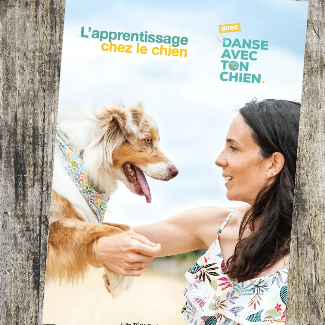 Tome 2 seul