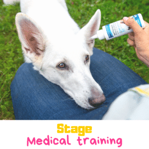 Stage medical training initiation