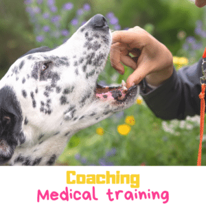 Coaching medical training