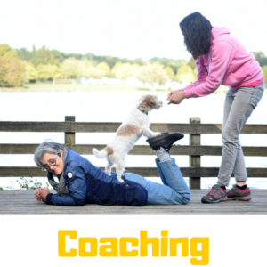 Coaching de dog dancing et education positive et medical training