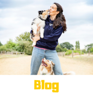 Blog de danse avec ton chien