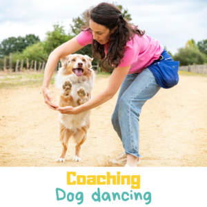 Coaching dog dancing