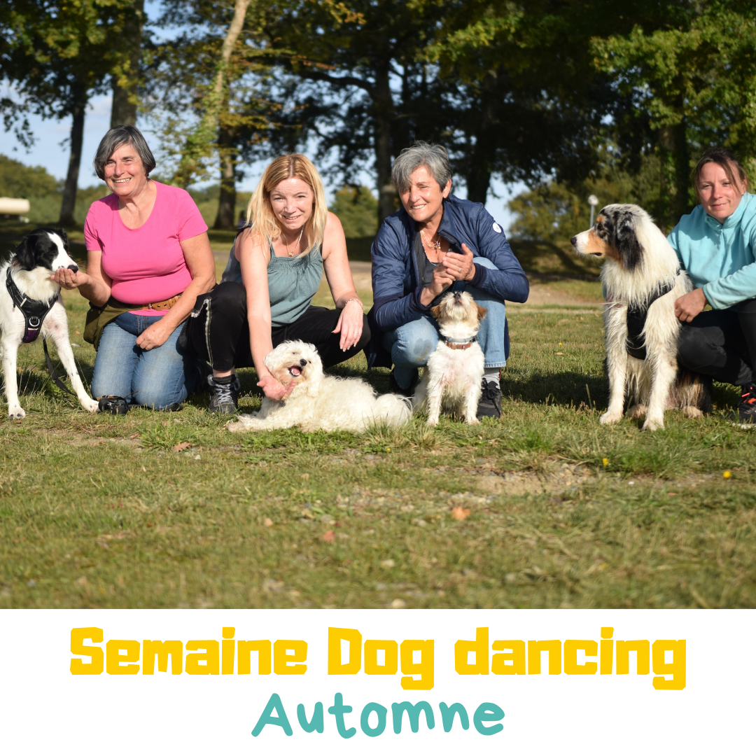 Semaine dog dancing