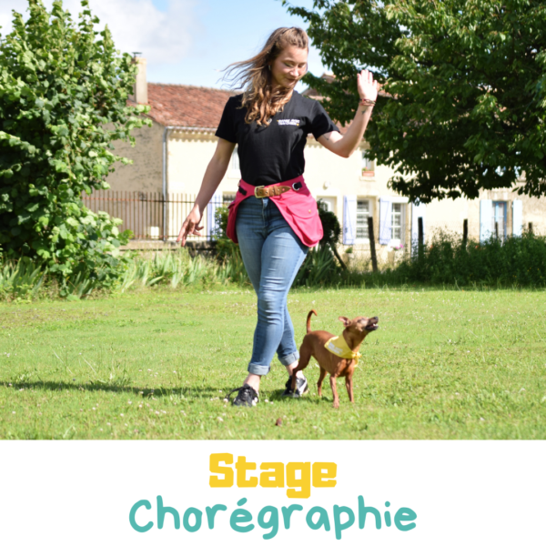 Stage chorégraphie dog dancing