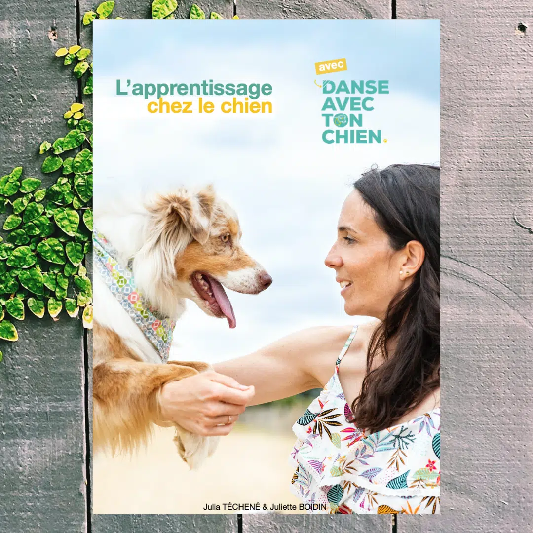 Tome 2 l'apprentissage chez le chien