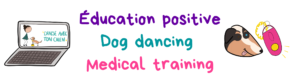 Education positive, dog dancing et medical training