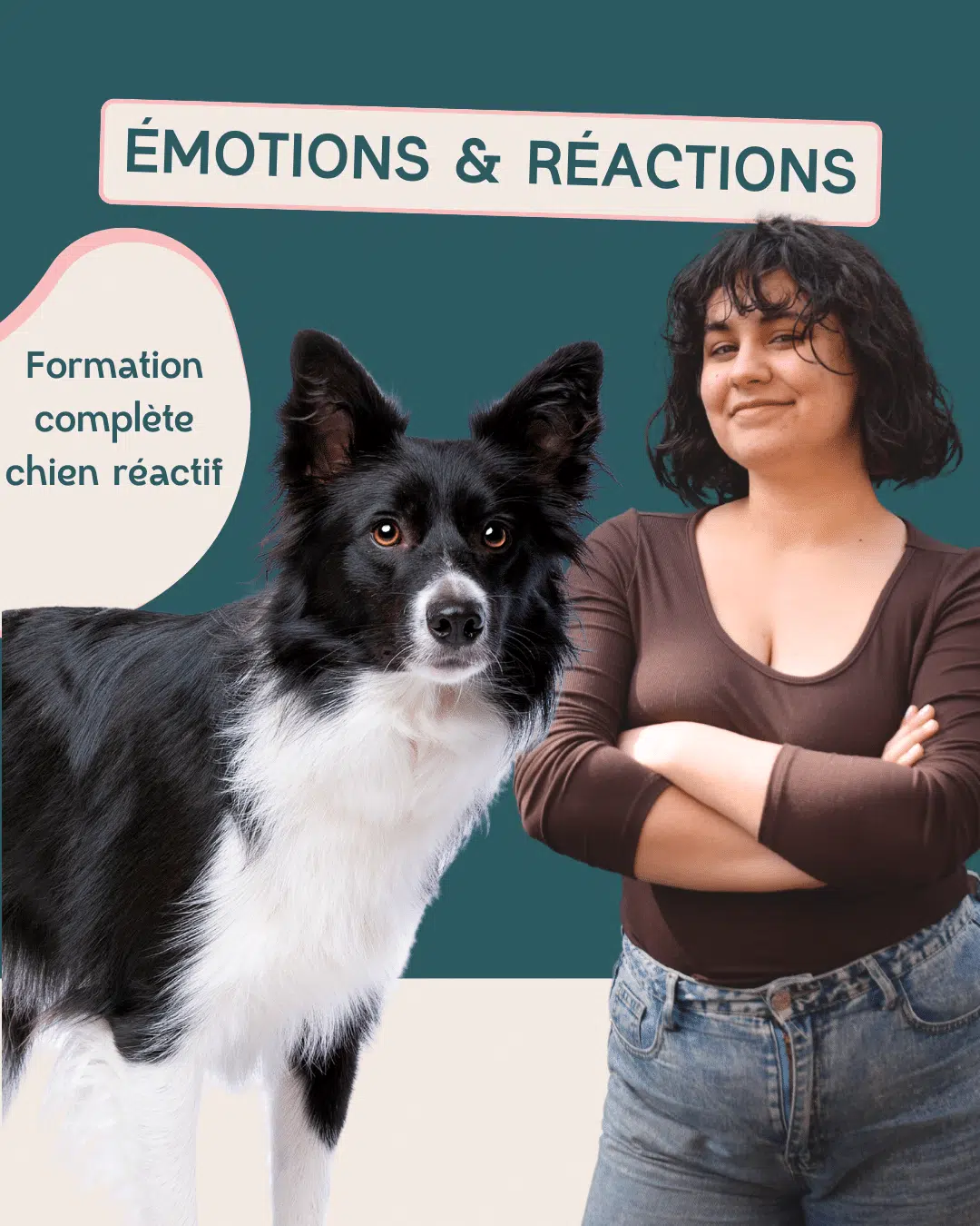 Formation chiens réactifs