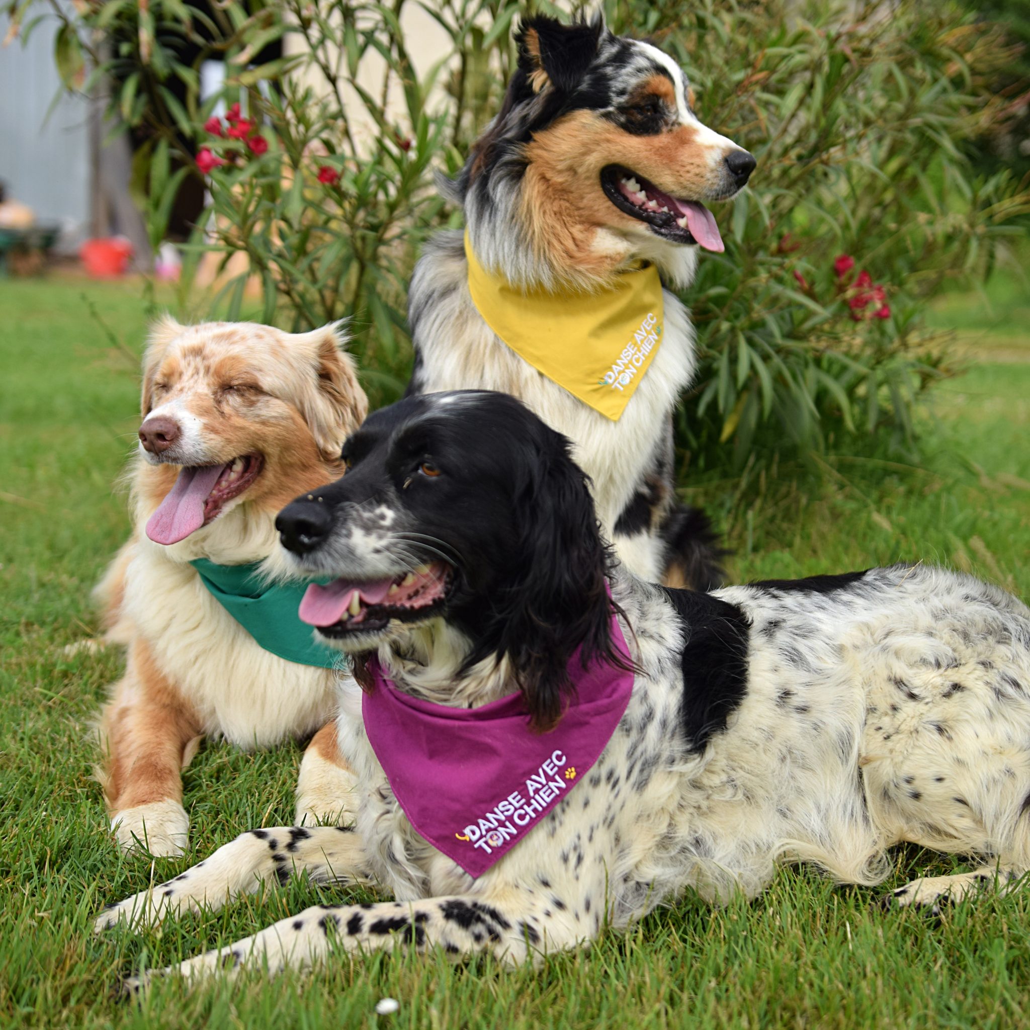 Bandanas 3 couleurs