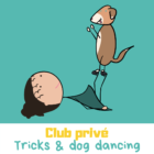 Club privé tricks et dog dancing