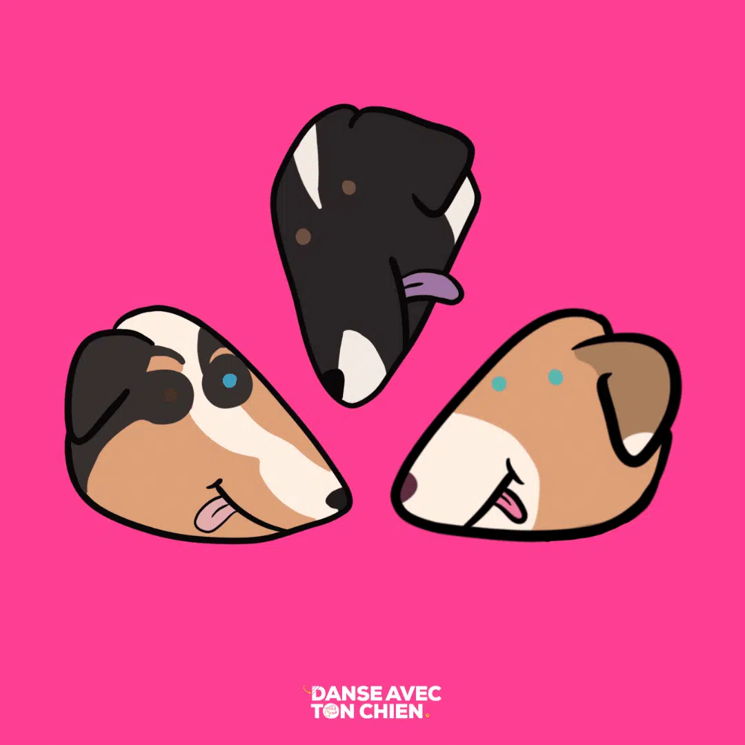 Le consentement du chien