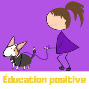 éducation canine en méthodes positives