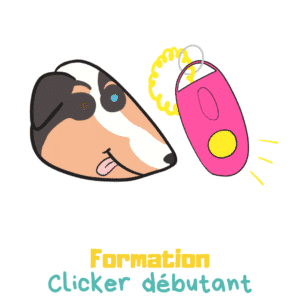 Formation clicker débutant