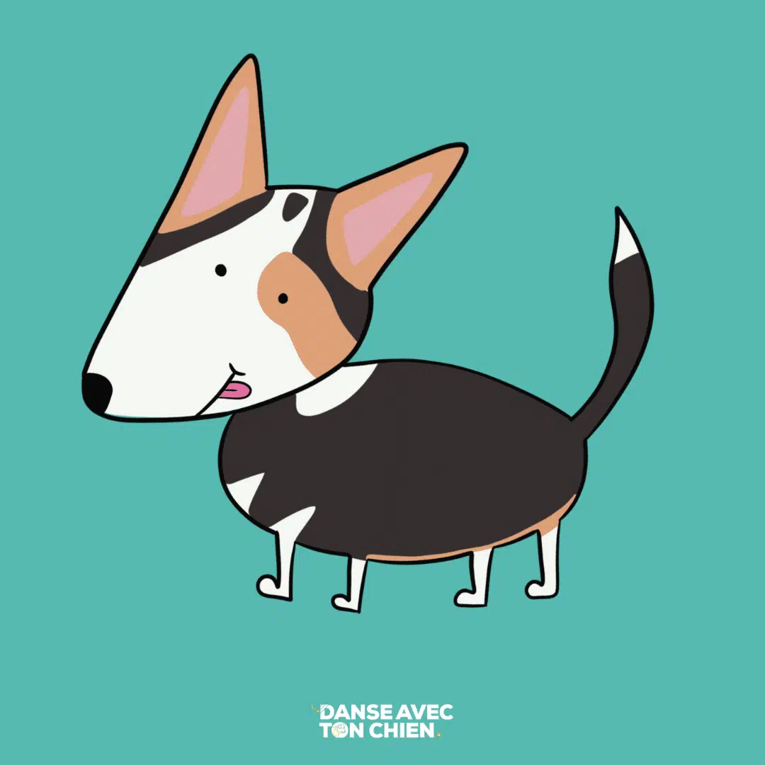 Relation avec le chien, par quoi commencer avec son chien