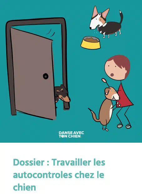 Dossier autocontroles
