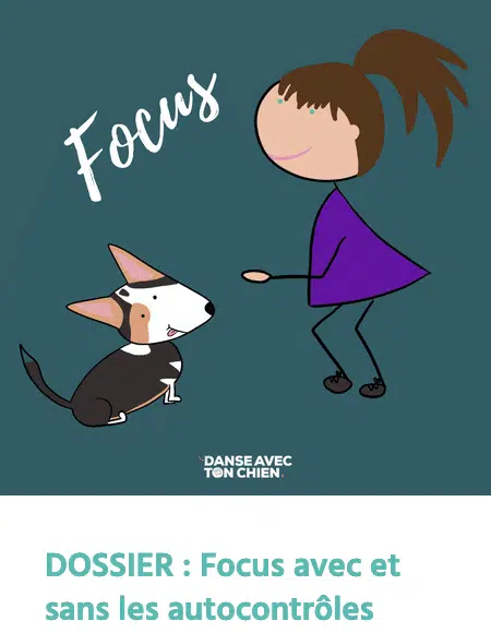 Dossier focus