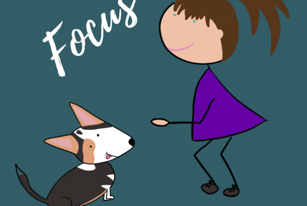 Travailler le focus avec son chien