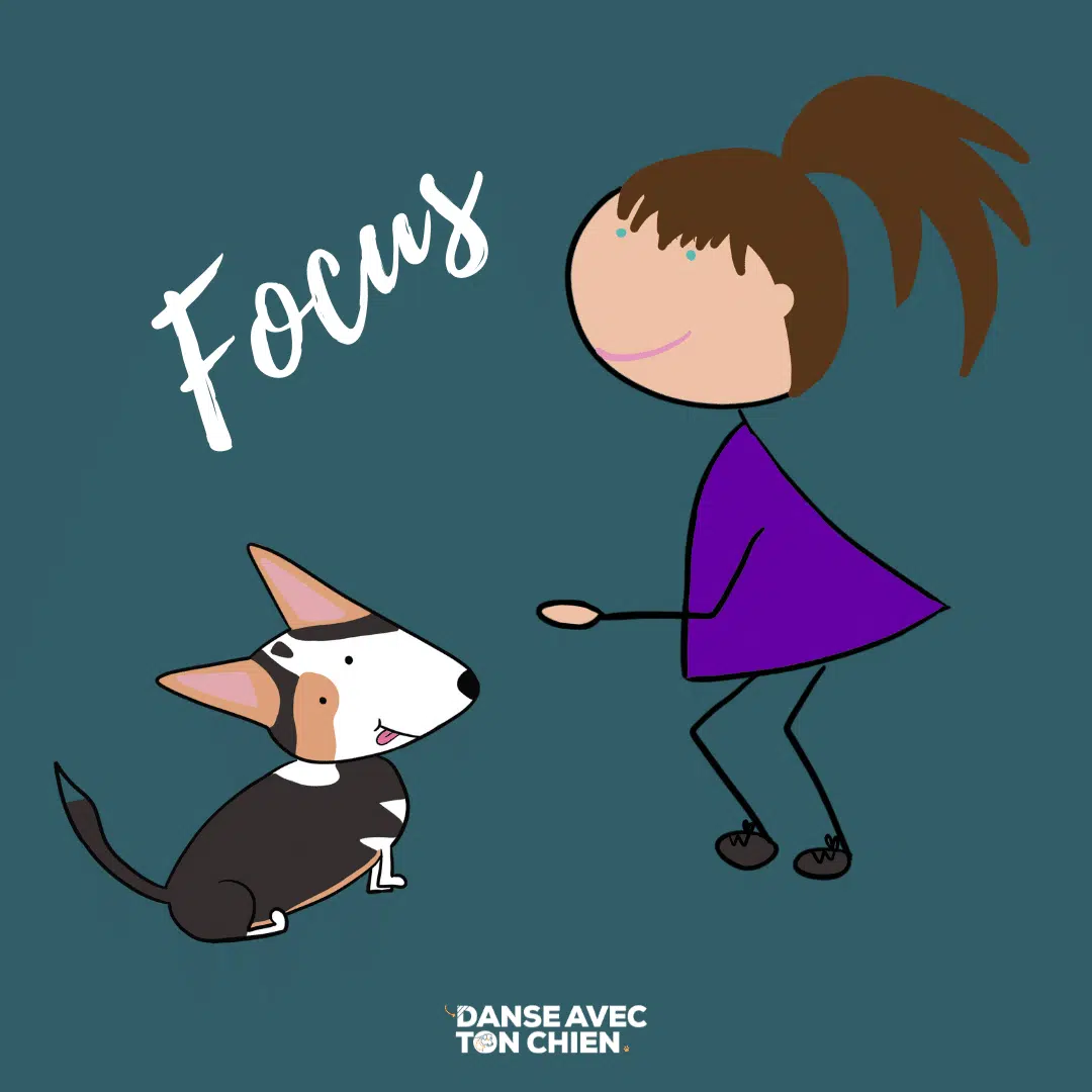 Travailler le focus avec son chien