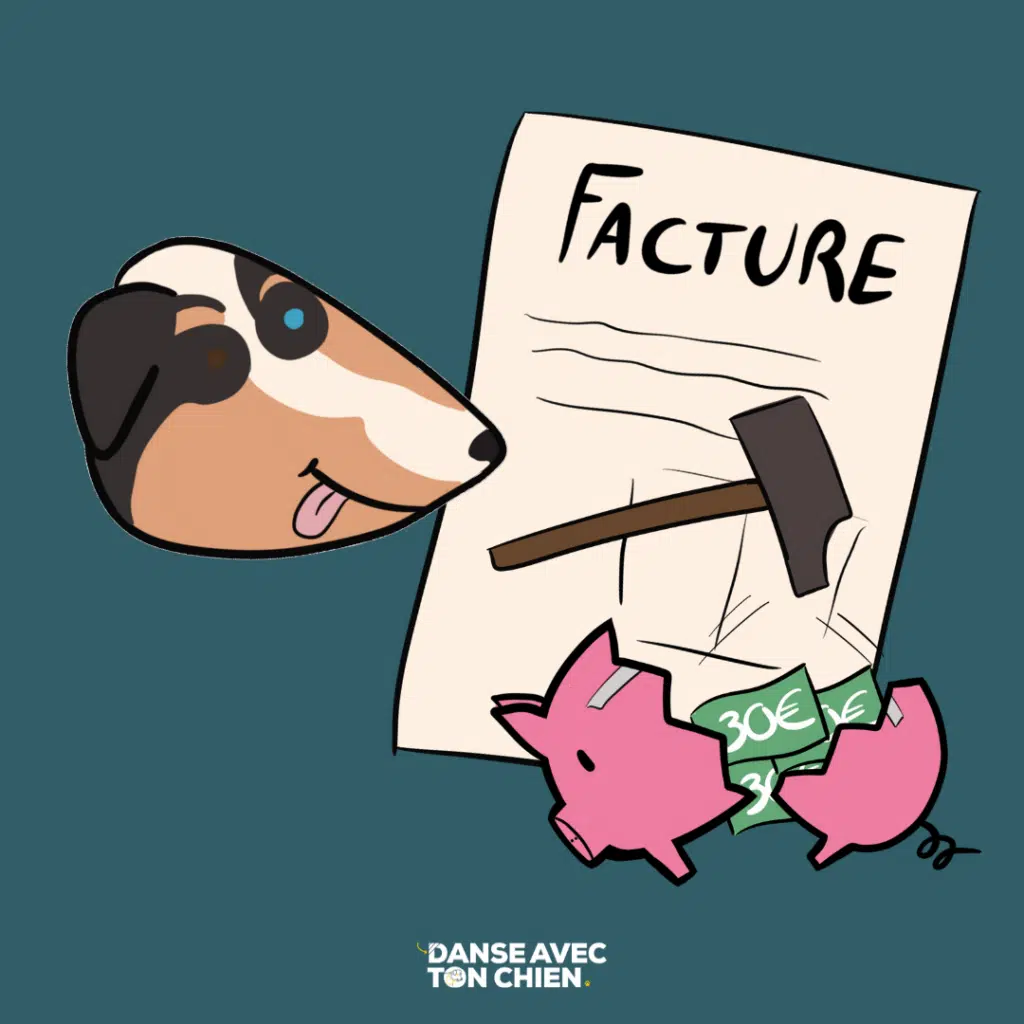 Assurance pour chien